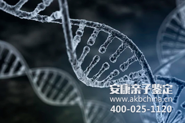 河北天津给小孩DNA做亲子鉴定需要什么证件？ 
