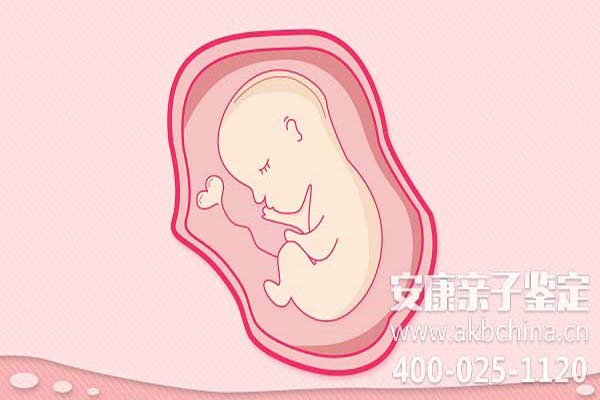 河北怀孕期间做亲子鉴定吗,怀孕如何做亲子鉴定吗 